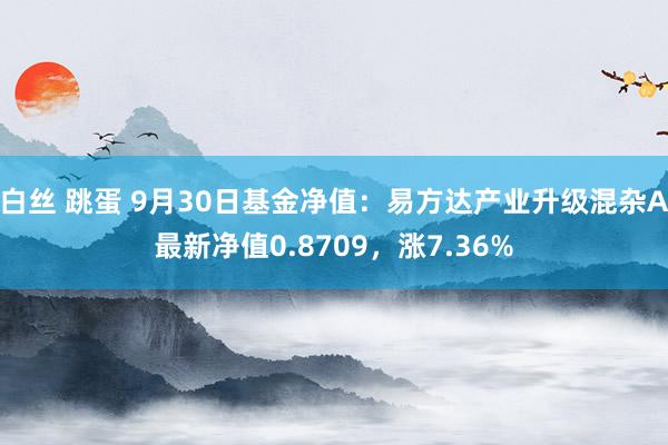 白丝 跳蛋 9月30日基金净值:易方达产业升级混杂A最新净值0.8709,涨7.36%