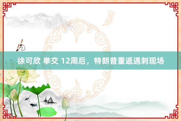 徐可欣 拳交 12周后,特朗普重返遇刺现场