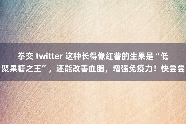 拳交 twitter 这种长得像红薯的生果是“低聚果糖之王”,还能改善血脂,增强免疫力!快尝尝