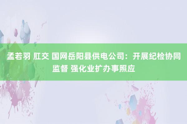 孟若羽 肛交 国网岳阳县供电公司:开展纪检协同监督 强化业扩办事照应