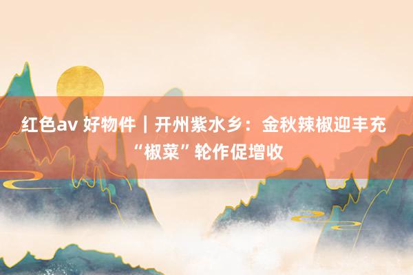 红色av 好物件|开州紫水乡:金秋辣椒迎丰充 “椒菜”轮作促增收