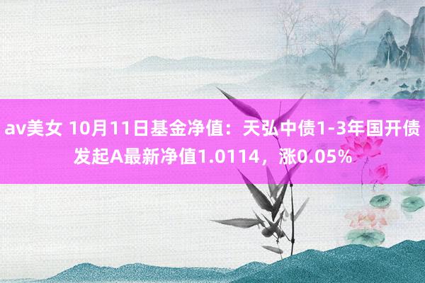 av美女 10月11日基金净值:天弘中债1-3年国开债发起A最新净值1.0114,涨0.05%