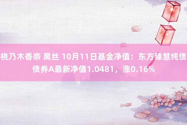 桃乃木香奈 黑丝 10月11日基金净值:东方臻慧纯债债券A最新净值1.0481,涨0.16%