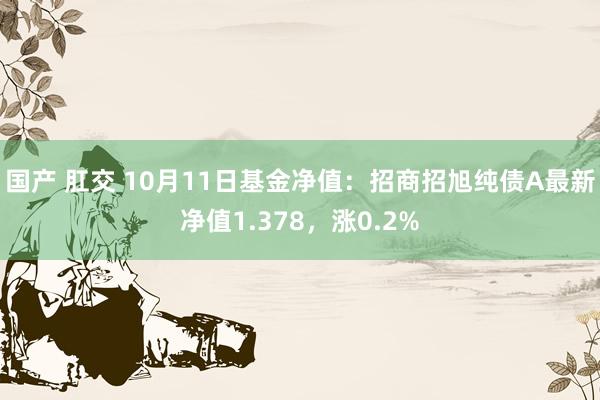 国产 肛交 10月11日基金净值:招商招旭纯债A最新净值1.378,涨0.2%