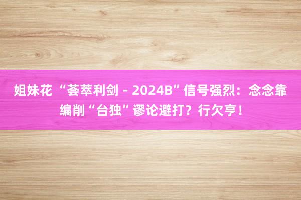 姐妹花 “荟萃利剑-2024B”信号强烈:念念靠编削“台独”谬论避打?行欠亨!