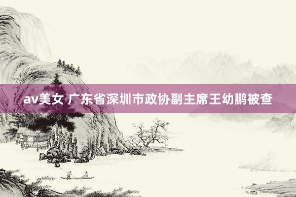 av美女 广东省深圳市政协副主席王幼鹏被查