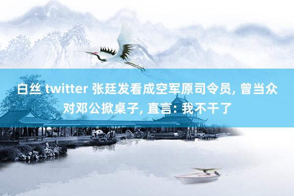 白丝 twitter 张廷发看成空军原司令员, 曾当众对邓公掀桌子, 直言: 我不干了