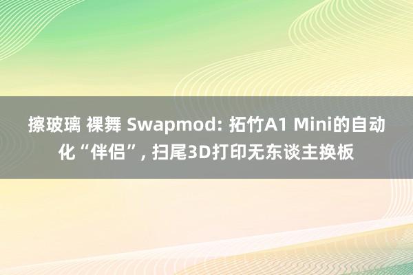 擦玻璃 裸舞 Swapmod: 拓竹A1 Mini的自动化“伴侣”, 扫尾3D打印无东谈主换板