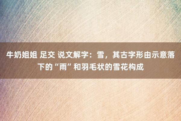 牛奶姐姐 足交 说文解字:雪,其古字形由示意落下的“雨”和羽毛状的雪花构成