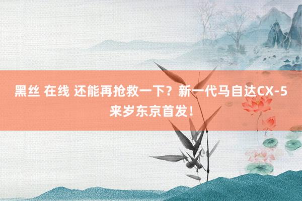 黑丝 在线 还能再抢救一下?新一代马自达CX-5来岁东京首发!