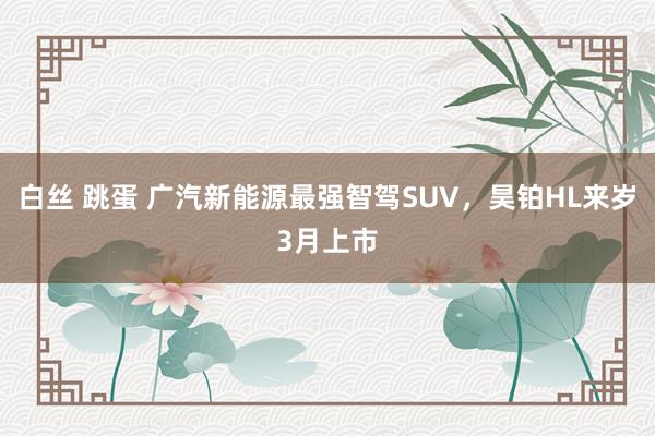 白丝 跳蛋 广汽新能源最强智驾SUV,昊铂HL来岁3月上市
