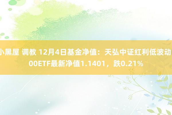小黑屋 调教 12月4日基金净值:天弘中证红利低波动100ETF最新净值1.1401,跌0.21%
