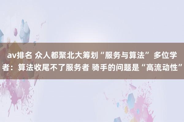 av排名 众人都聚北大筹划“服务与算法” 多位学者:算法收尾不了服务者 骑手的问题是“高流动性”