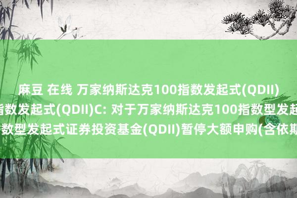 麻豆 在线 万家纳斯达克100指数发起式(QDII)A,万家纳斯达克100指数发起式(QDII)C: 对于万家纳斯达克100指数型发起式证券投资基金(QDII)暂停大额申购(含依期定额投资)业务的公告