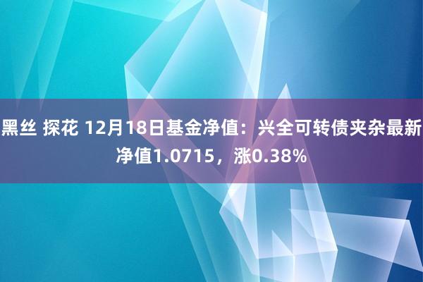 黑丝 探花 12月18日基金净值:兴全可转债夹杂最新净值1.0715,涨0.38%