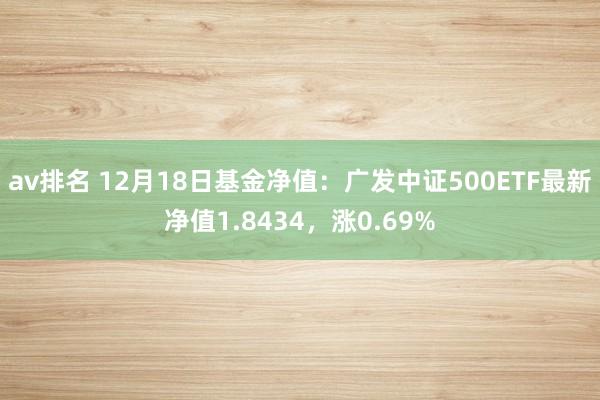 av排名 12月18日基金净值:广发中证500ETF最新净值1.8434,涨0.69%
