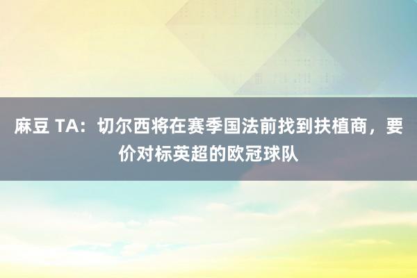 麻豆 TA:切尔西将在赛季国法前找到扶植商,要价对标英超的欧冠球队
