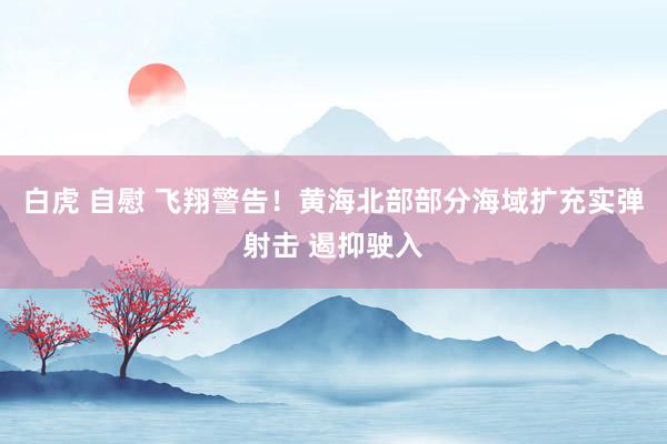 白虎 自慰 飞翔警告!黄海北部部分海域扩充实弹射击 遏抑驶入