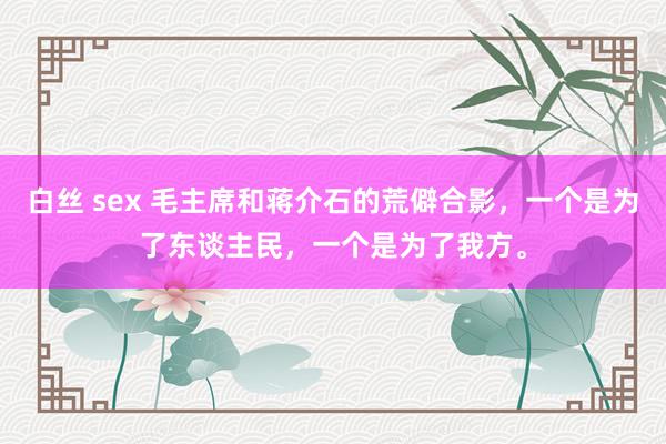白丝 sex 毛主席和蒋介石的荒僻合影,一个是为了东谈主民,一个是为了我方。