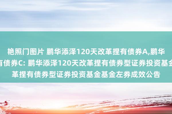 艳照门图片 鹏华添泽120天改革捏有债券A,鹏华添泽120天改革捏有债券C: 鹏华添泽120天改革捏有债券型证券投资基金基金左券成效公告