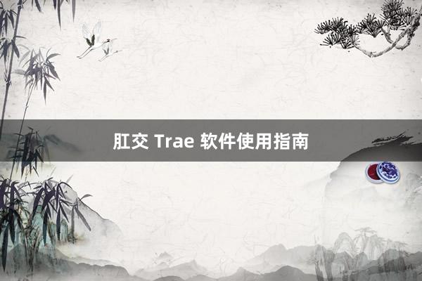 肛交 Trae 软件使用指南
