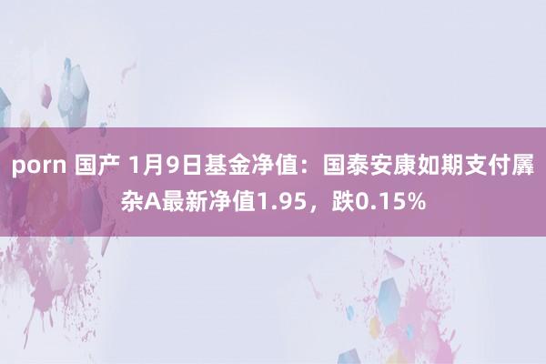 porn 国产 1月9日基金净值：国泰安康如期支付羼杂A最新净值1.95，跌0.15%