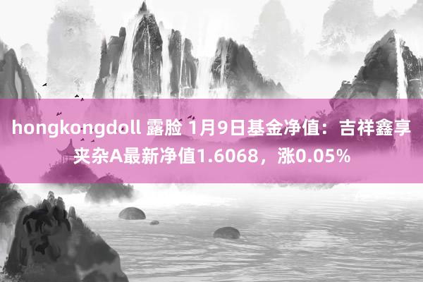 hongkongdoll 露脸 1月9日基金净值:吉祥鑫享夹杂A最新净值1.6068,涨0.05%
