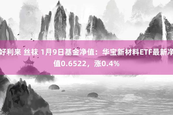 好利来 丝袜 1月9日基金净值:华宝新材料ETF最新净值0.6522,涨0.4%