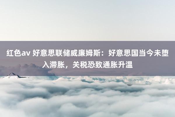 红色av 好意思联储威廉姆斯：好意思国当今未堕入滞胀，关税恐致通胀升温